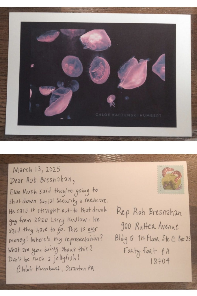 Postcard with a picture of aquarium jellyfish lit up in purple, photo by Chloe Kaczenski Humbert, postcard is addressed to Rep Rob Bresnahan at his office in Forty Fort, Pennsylvania. The postcard text: March 13, 2025. Dear Rob Bresnahan, Elon Musk said they're going to shut down Social Security & Medicare. He said it straight out to that drunk guy from 2020 Larry Kudlow. He said they have to go. This is our money! Where's my representation? What are you doing about this? Don't be such a jellyfish! Chloe Humbert, Scranton PA.