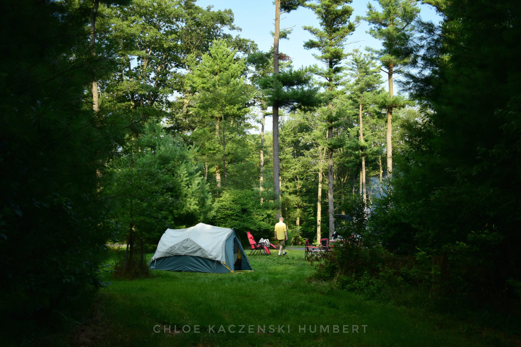 Promised Land State Park in the Poconos, Pennsylvania. July 29, 2019. Photo by Chloe Kaczenski Humbert