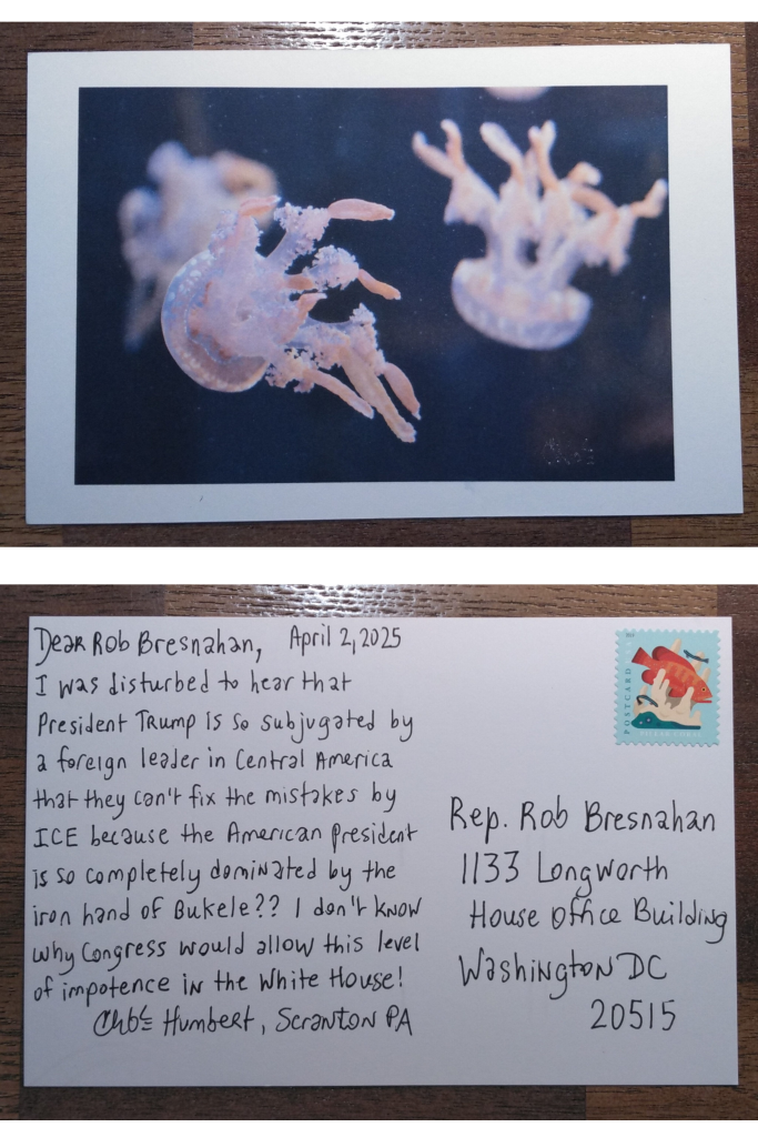 Postcard with photo by Chloe Humbert of jellyfish in the Mystic Aquarium in Connecticut, the postcard is addressed to Rep. Rob Bresnahan in Washington DC. Dated April 2, 2025. Dear Rob Bresnahan, I was disturbed to hear that President Trump is so subjugated by a foreign leader in Central America that they can’t fix the mistakes by ICE because the American president is so completely dominated by the iron hand of Bukele?? I don’t know why Congress would allow this level of impotence in the White House! Signed Chloe Humbert, Scranton PA